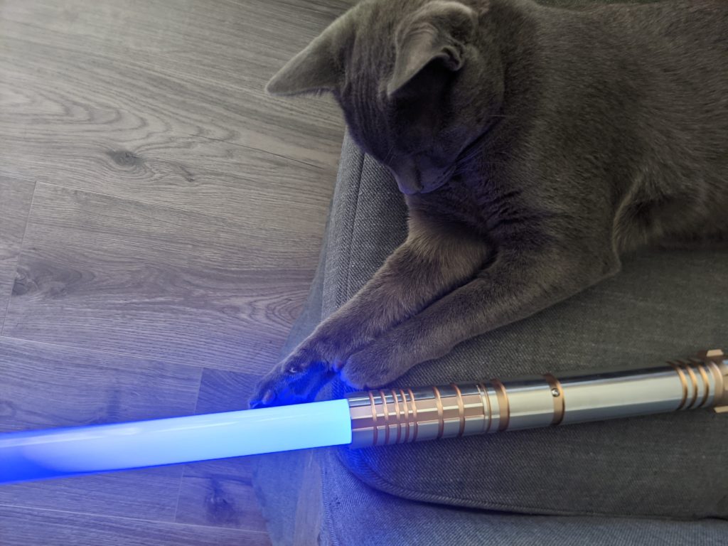 A large grey cat looks intently at a lightsaber. The lightsaber hilt is rose gold and silver with a teal blade.